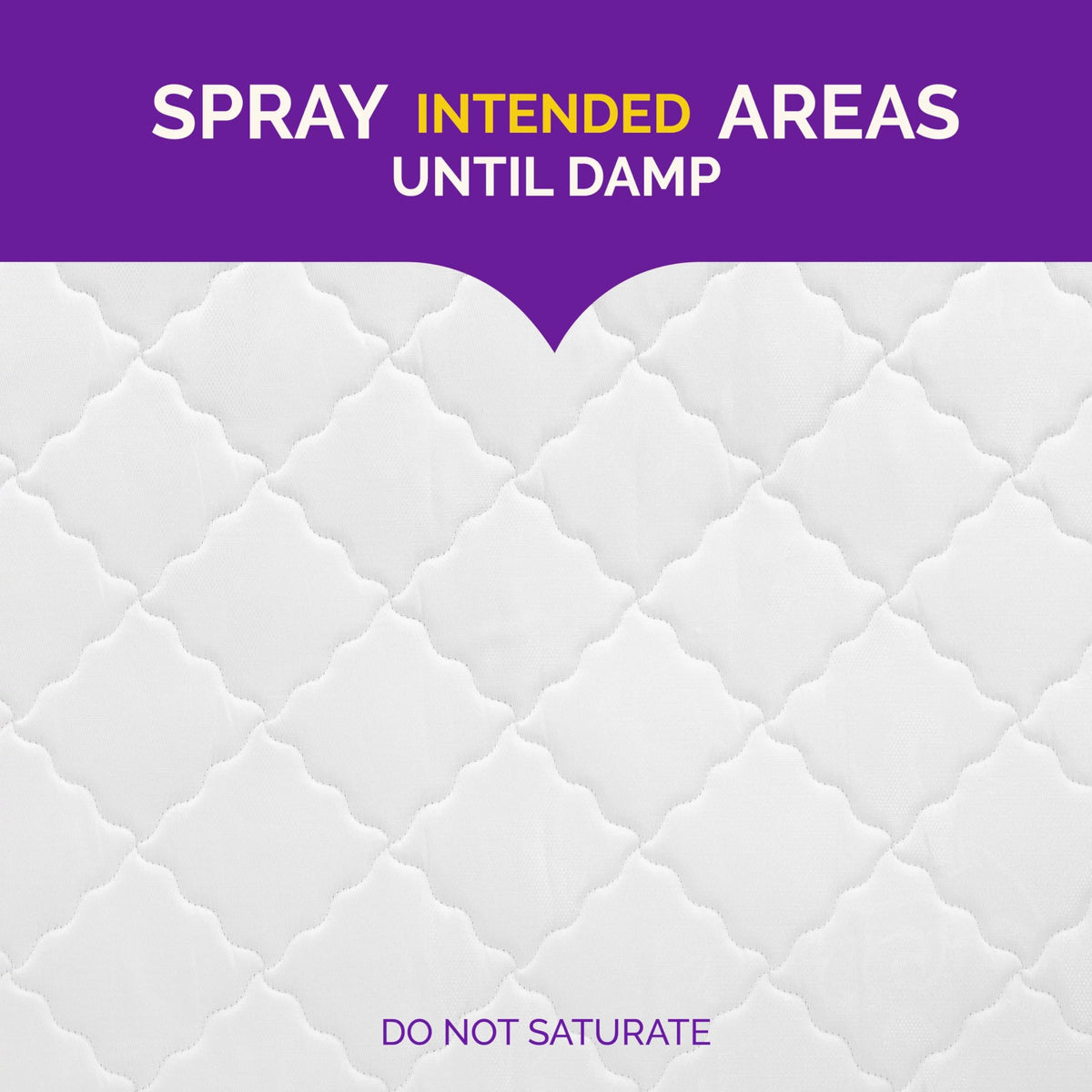 Hot Shot non staining odor free formula highlighted for quick room spot treatments