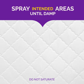 Hot Shot non staining odor free formula highlighted for quick room spot treatments