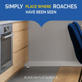 Kitchen corner placement of Hot Shot Ultra Liquid Roach Bait; targets roach activity.