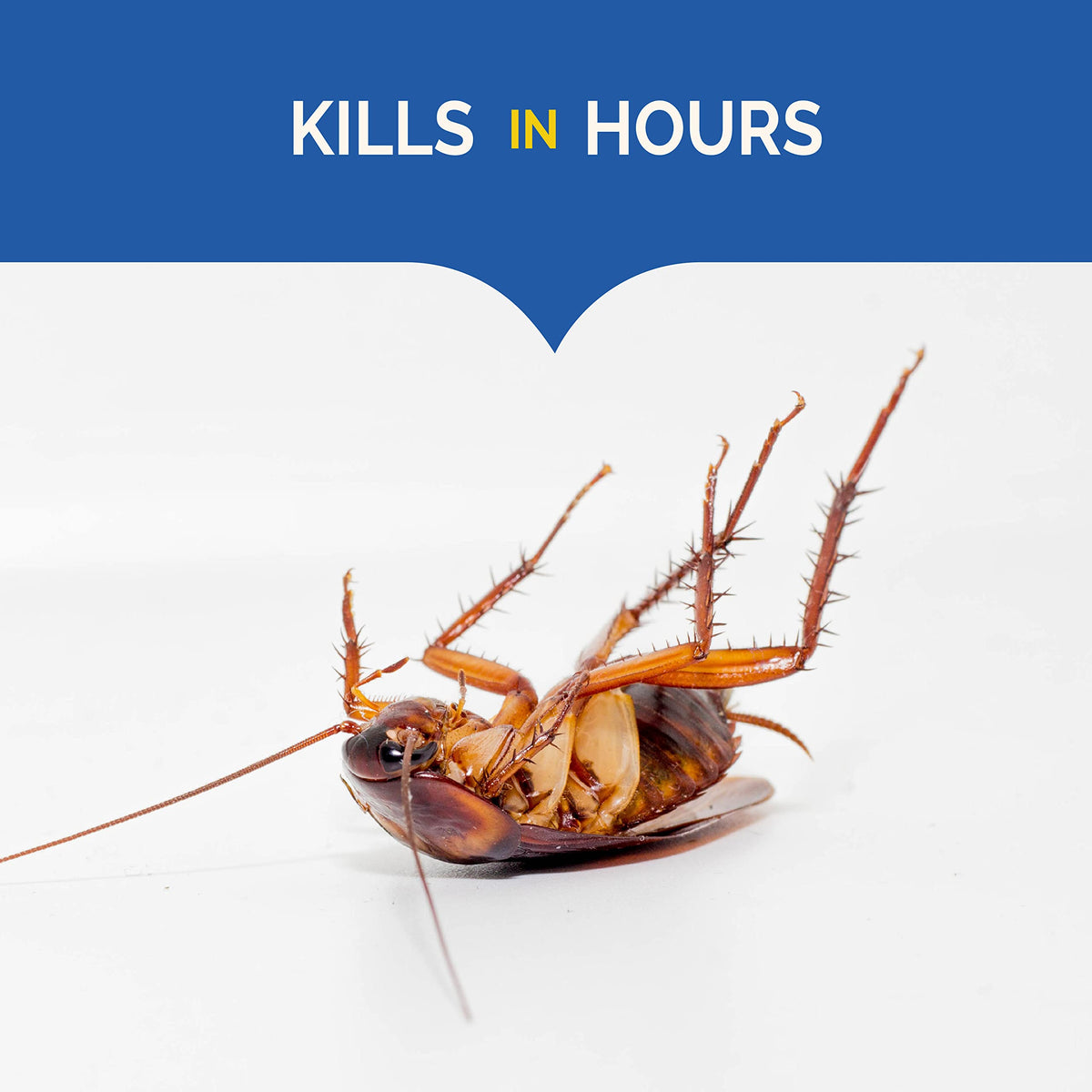 Under-sink placement with Hot Shot Ultra Liquid Roach Bait; discreet pest control.