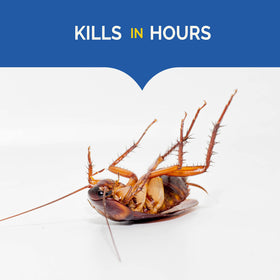 Under-sink placement with Hot Shot Ultra Liquid Roach Bait; discreet pest control.