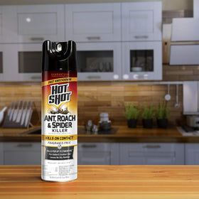 Hot Shot can for use behind sinks, pipes, and dark corners.