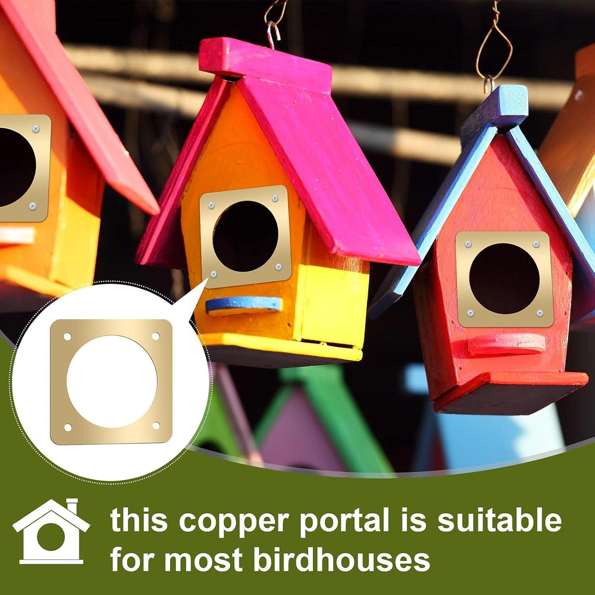 Hotop 1-1/2 inch opening bluebird feature helps proper access and protection.