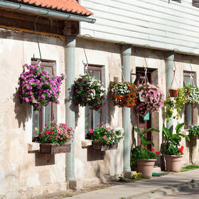 Hotop green finish blends with foliage while providing sturdy hanging support.