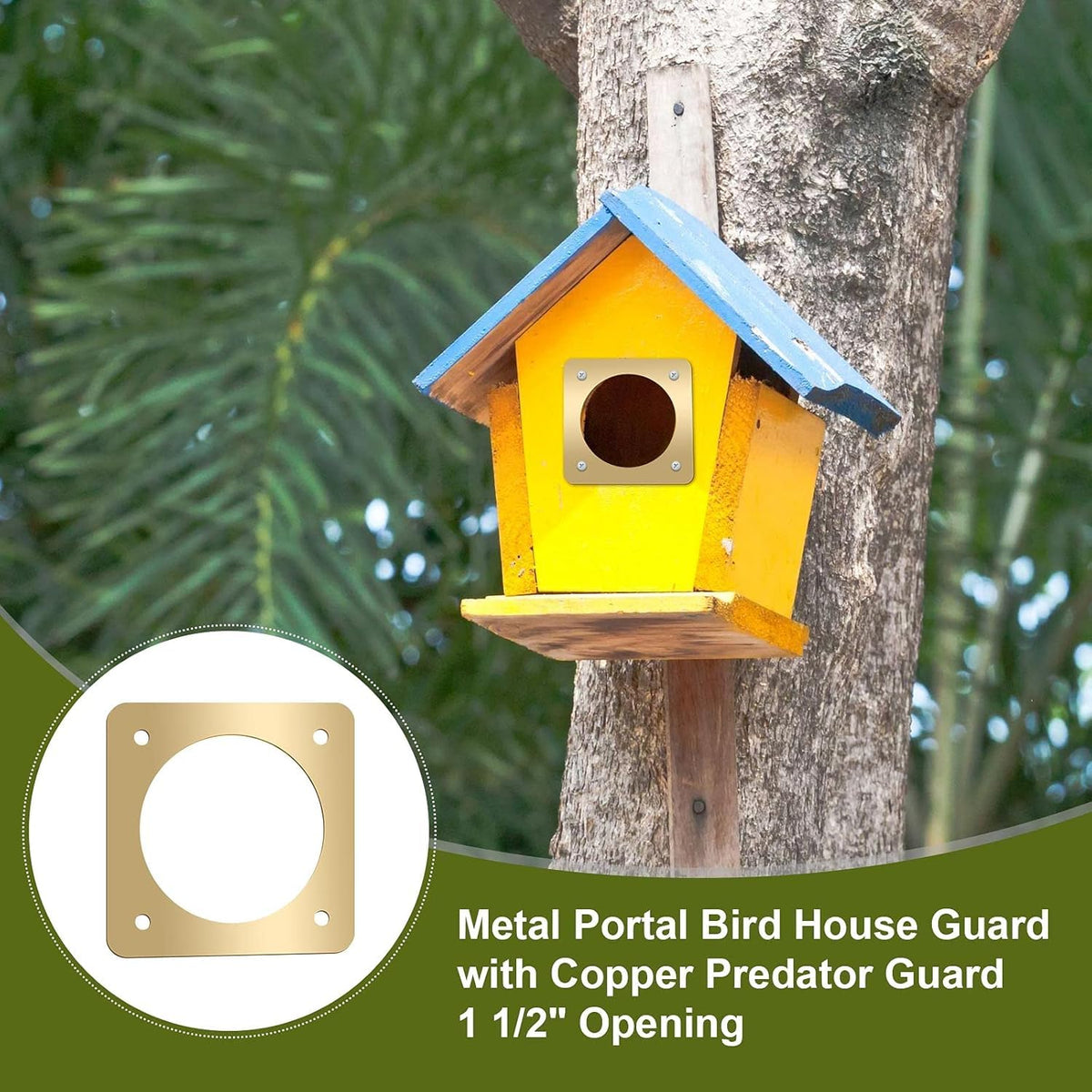 Hotop suitable for eastern bluebird and sparrow houses keeps birds safe.