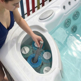 HOTSPRING HOTUB silver ion stick in filter standpipe—easy drop-in installation