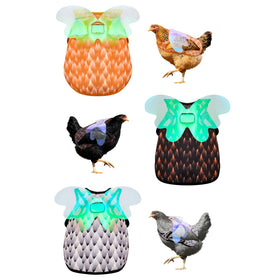HOUGXD feather recovery support keeping hens mobile and social.