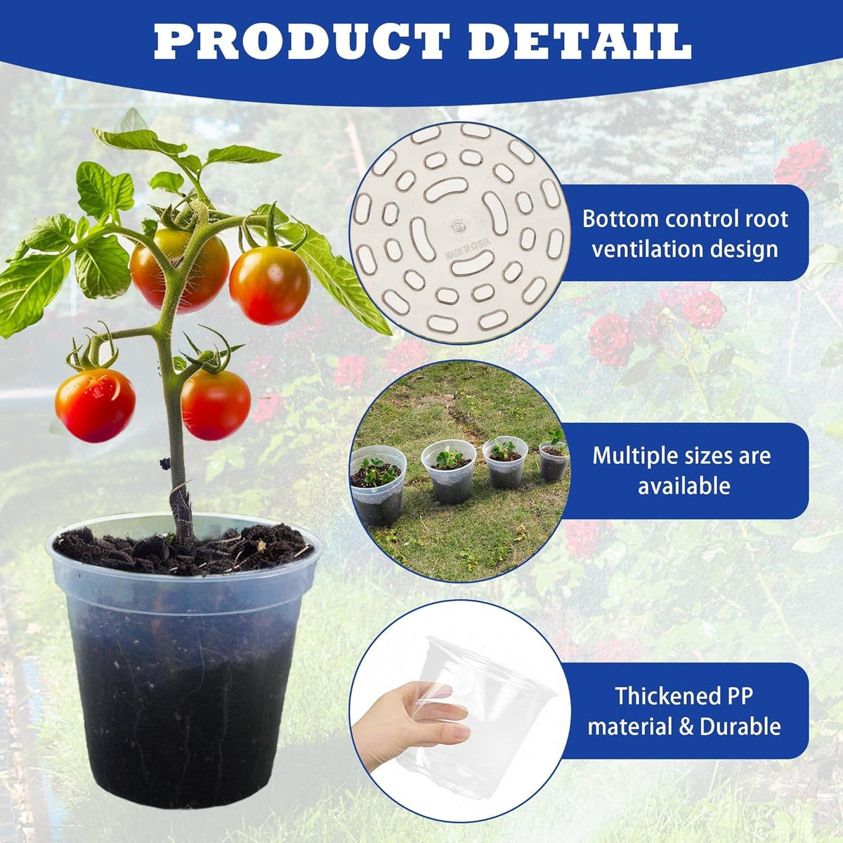 Hourleey clear 5-inch nursery pot suitable for compact indoor planting.