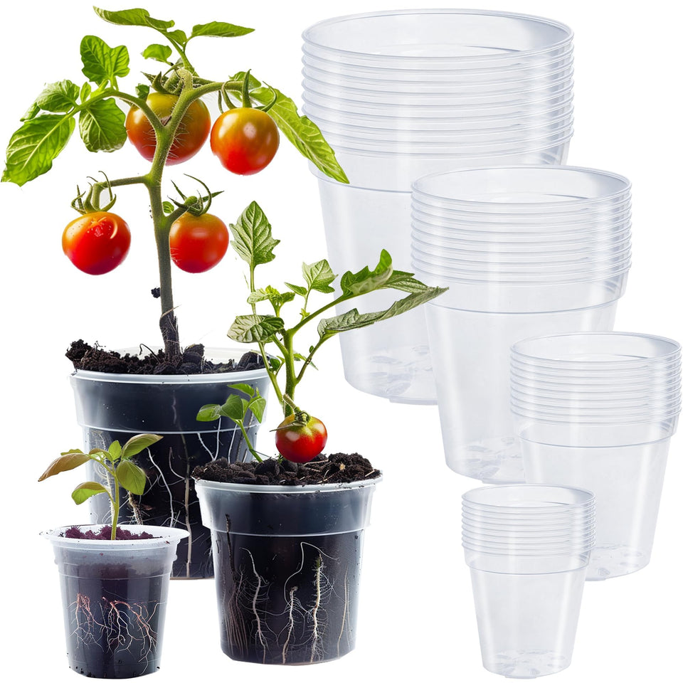 Hourleey clear 7-inch nursery pot with drainage promotes healthy seedling growth.