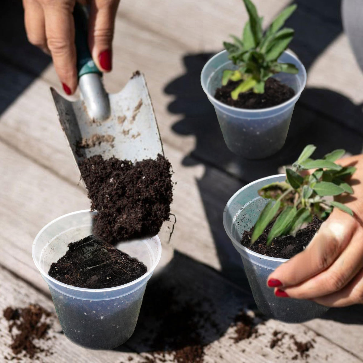 Hourleey pots feature drainage holes that promote proper water flow.