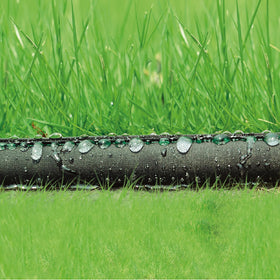 Hourleey hose placed beneath mulch demonstrates discreet irrigation.