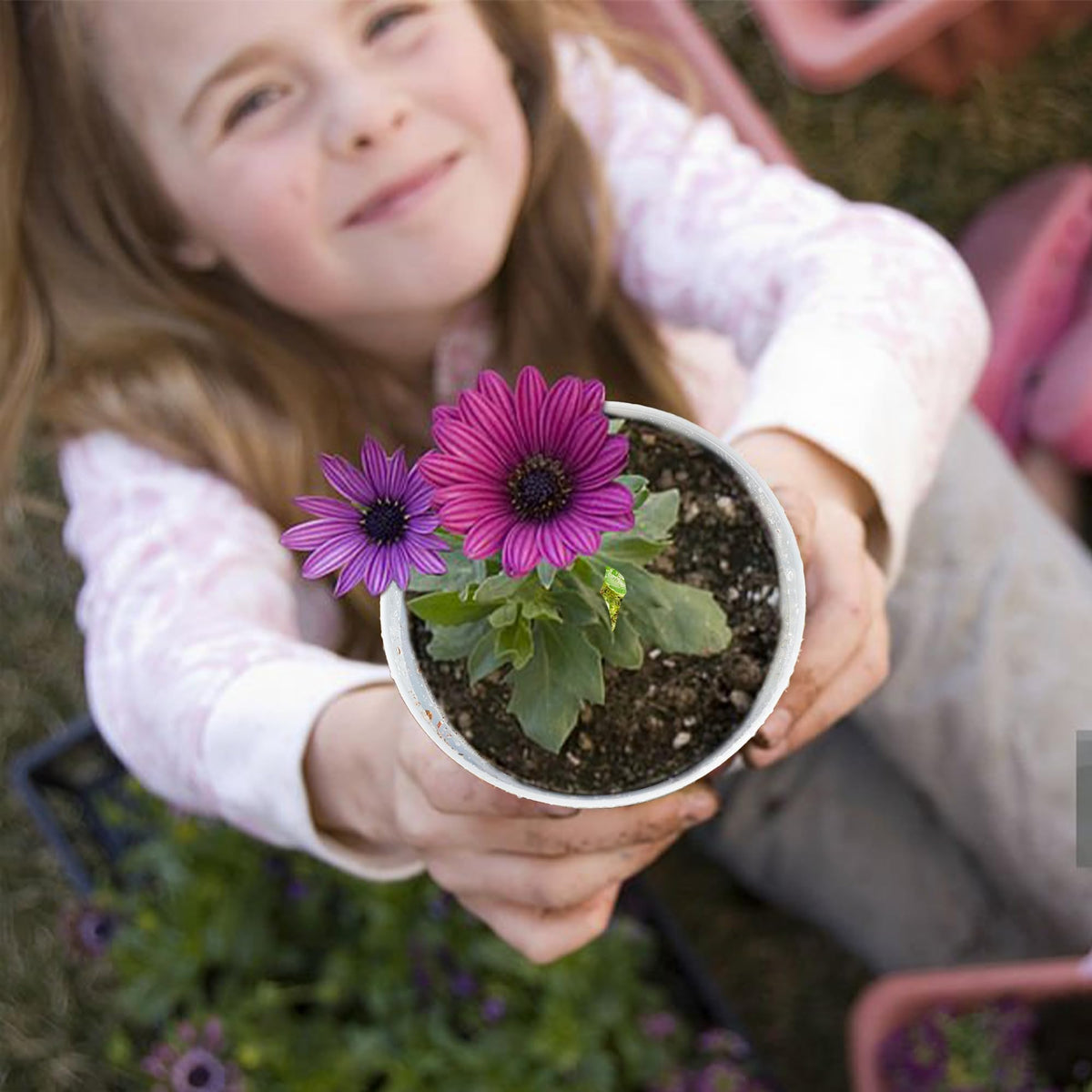 Hourleey indoor outdoor-use pot set for versatile gardening.