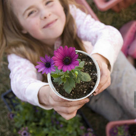 Hourleey indoor outdoor-use pot set for versatile gardening.