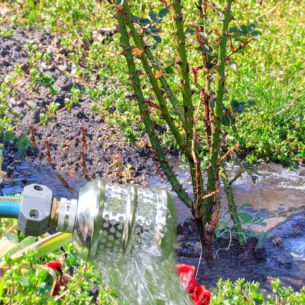 Hourleey root-zone watering design promotes deep, even moisture.