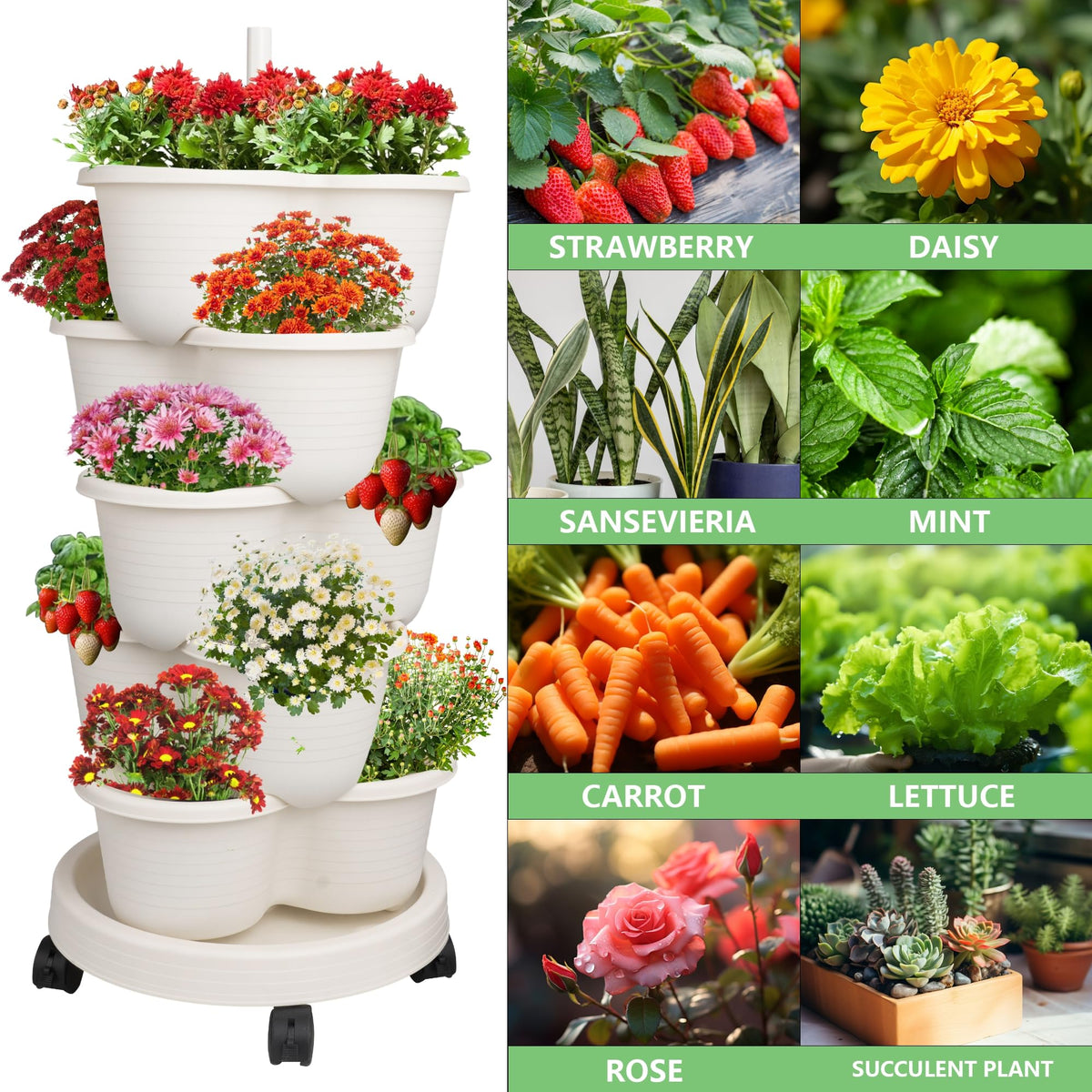 Hourleey strawberry planter drip-tray closeup emphasizes neat, mess-free irrigation.