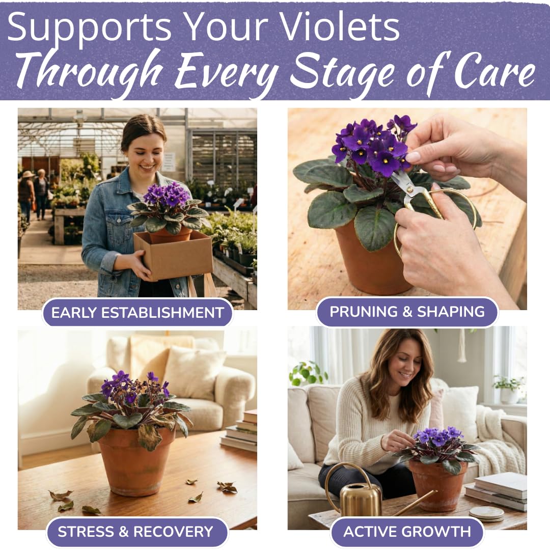 HOUSEPLANT RESOURCE CENTER African Violet blooms close-up showing lush petals.