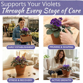 HOUSEPLANT RESOURCE CENTER African Violet blooms close-up showing lush petals.