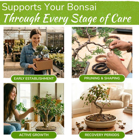 Houseplant Resource Center Bonsai Food dilution in water highlights simple weekly feeding.