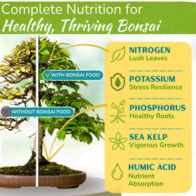 Houseplant Resource Center Bonsai Food pour action demonstrates quick dilution for efficient watering.