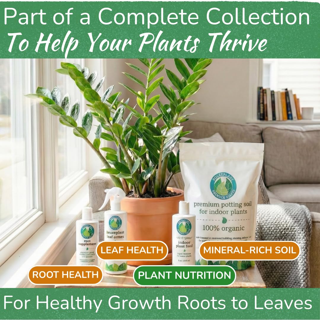 Houseplant Resource Center Cactus with healthy roots thanks to gentle formula