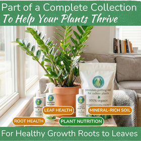 Houseplant Resource Center Cactus with healthy roots thanks to gentle formula