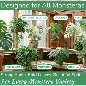 Concentrated formula dissolves easily for even distribution during watering