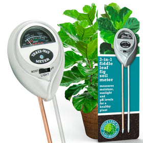 Fiddle Leaf Fig 3-in-1 meter displays moisture, light, and pH for healthy growth