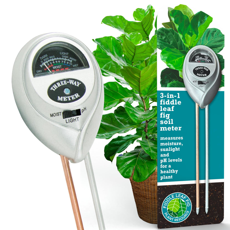 Fiddle Leaf Fig 3-in-1 meter displays moisture, light, and pH for healthy growth