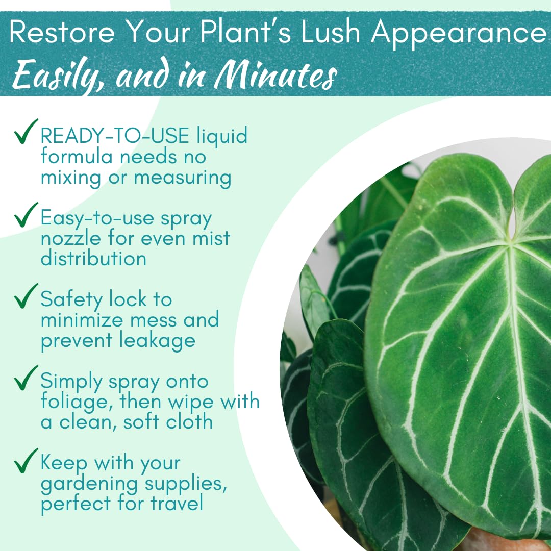 Leaf Shine Ingredients highlight yucca-based, plant-safe formula