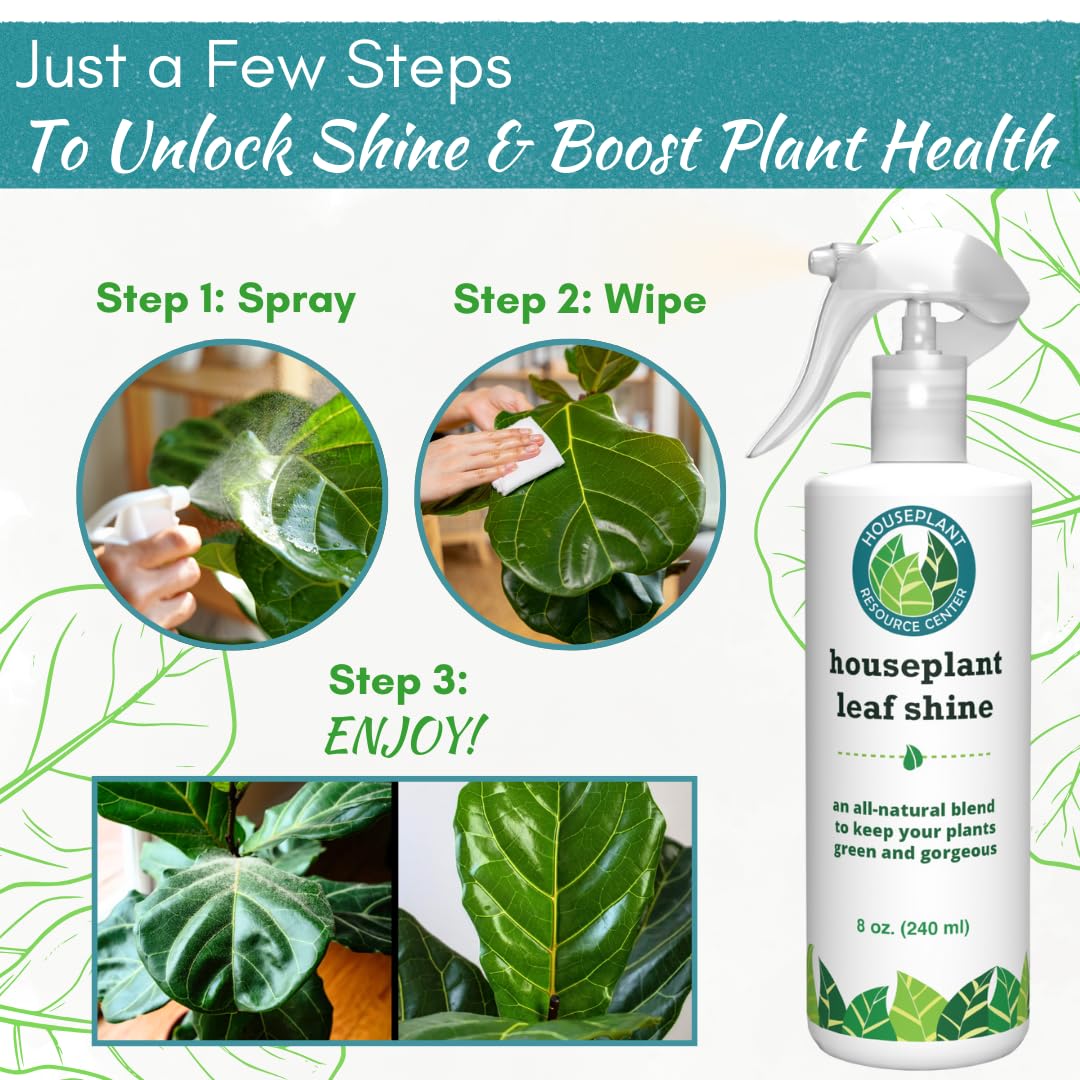 Leaf Shine for Monstera leaves provides a glossy, photo-ready look