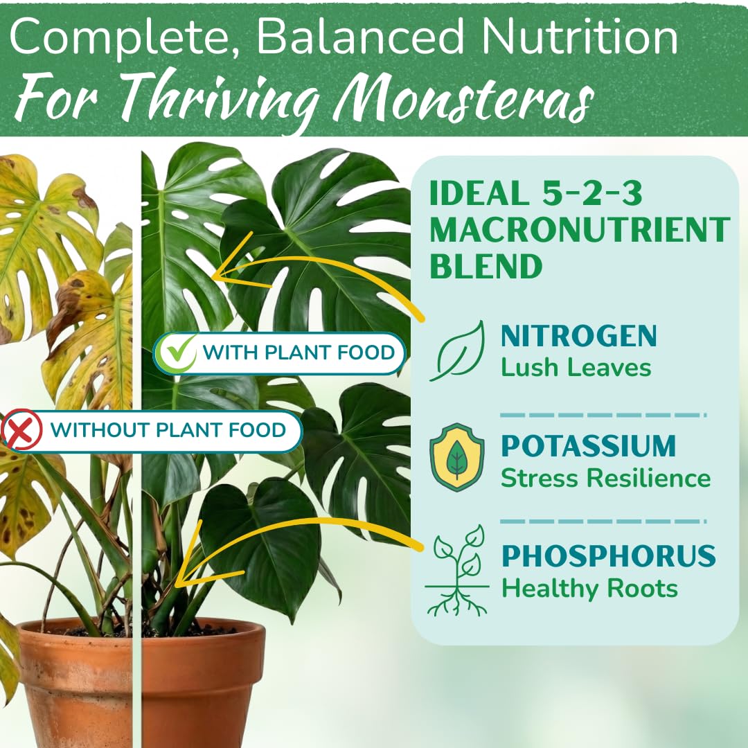 Monstera Plant Food 5-2-3 NPK blend enhances soil nutrition and root growth for healthy plants
