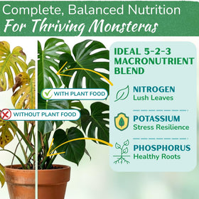 Monstera Plant Food 5-2-3 NPK blend enhances soil nutrition and root growth for healthy plants