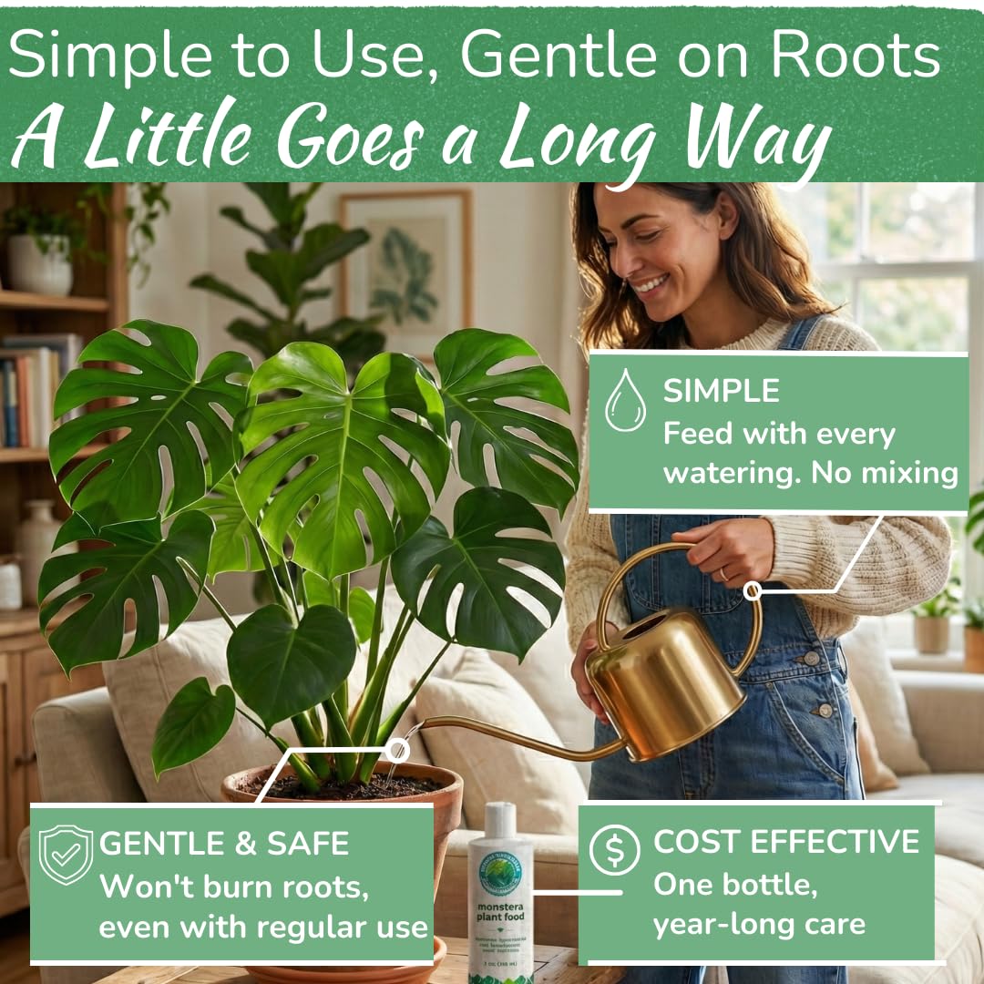 Strong roots support overall plant resilience and steadier growth