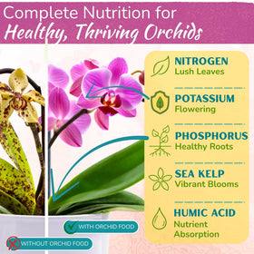 Houseplant Resource Center Orchid Fertilizer Spray label detail for precise nutrient delivery to roots