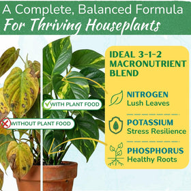 Houseplant Resource Center Organic Liquid Fertilizer label close-up showing micronutrients