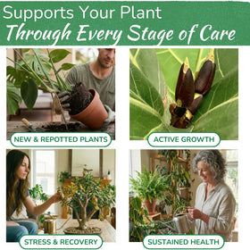 Houseplant Resource Center Pothos thriving with lush, healthy foliage