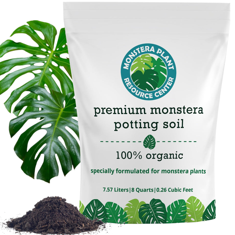 HOUSEPLANT RESOURCE CENTER Monstera soil close-up showing airy texture for healthy roots