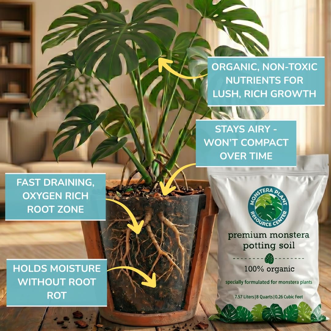 HOUSEPLANT RESOURCE CENTER Monstera soil texture highlighting chunky, well-drained mix
