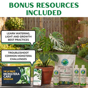 HOUSEPLANT RESOURCE CENTER Monstera potting mix ready to use in potting setup