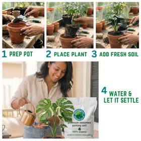 HOUSEPLANT RESOURCE CENTER Monstera soil with worm castings for richer growth