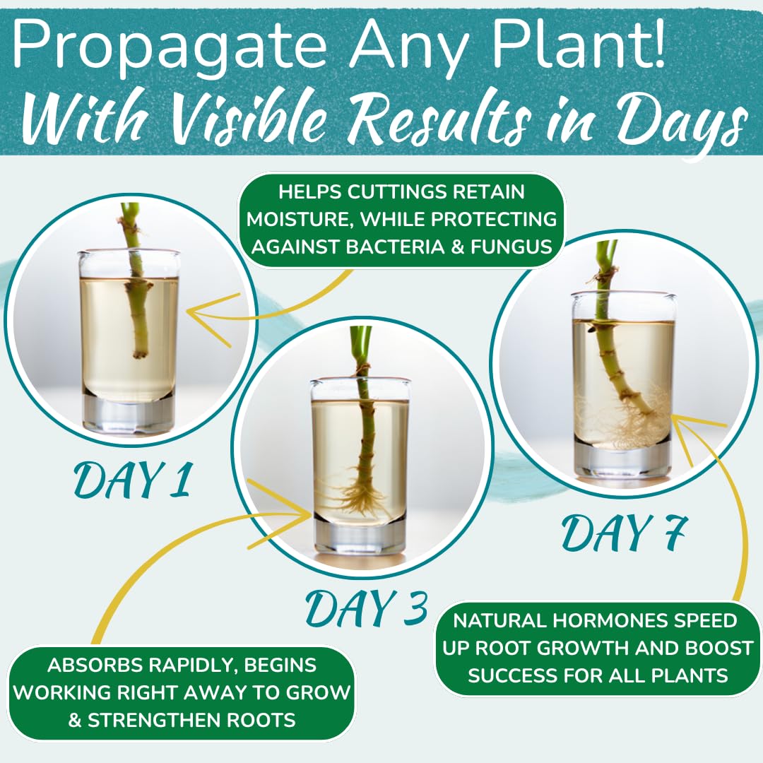 Houseplant Prop Drops bottle pour demonstrates easy application for hydroponics and soil propagation.