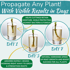 Houseplant Prop Drops bottle pour demonstrates easy application for hydroponics and soil propagation.