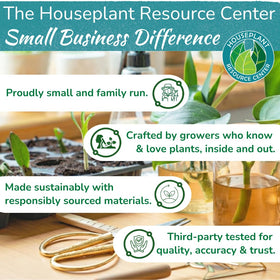 Houseplant Prop Drops performs well in hydroponic and soil propagation.