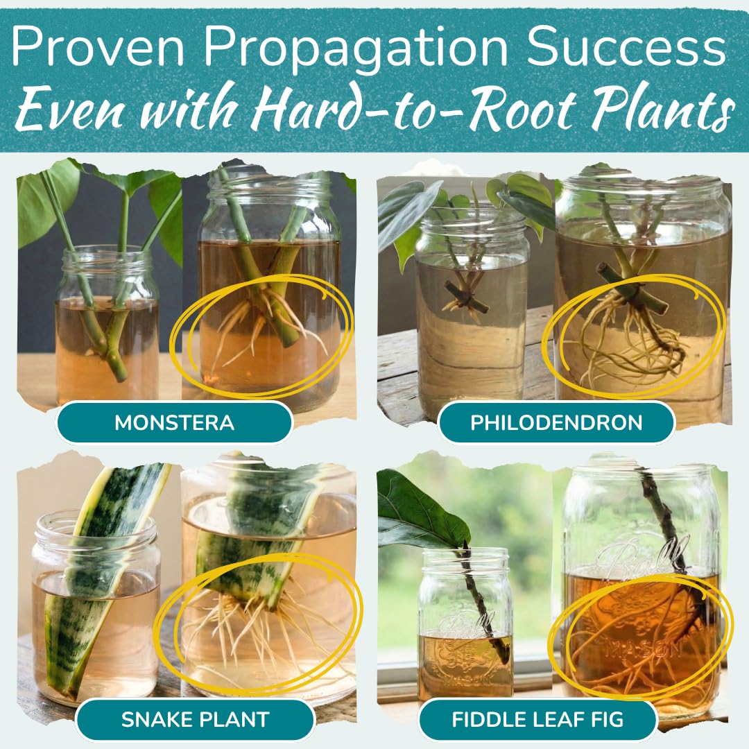 Houseplant Prop Drops liquid form provides a gentle, natural rooting boost for cuttings.