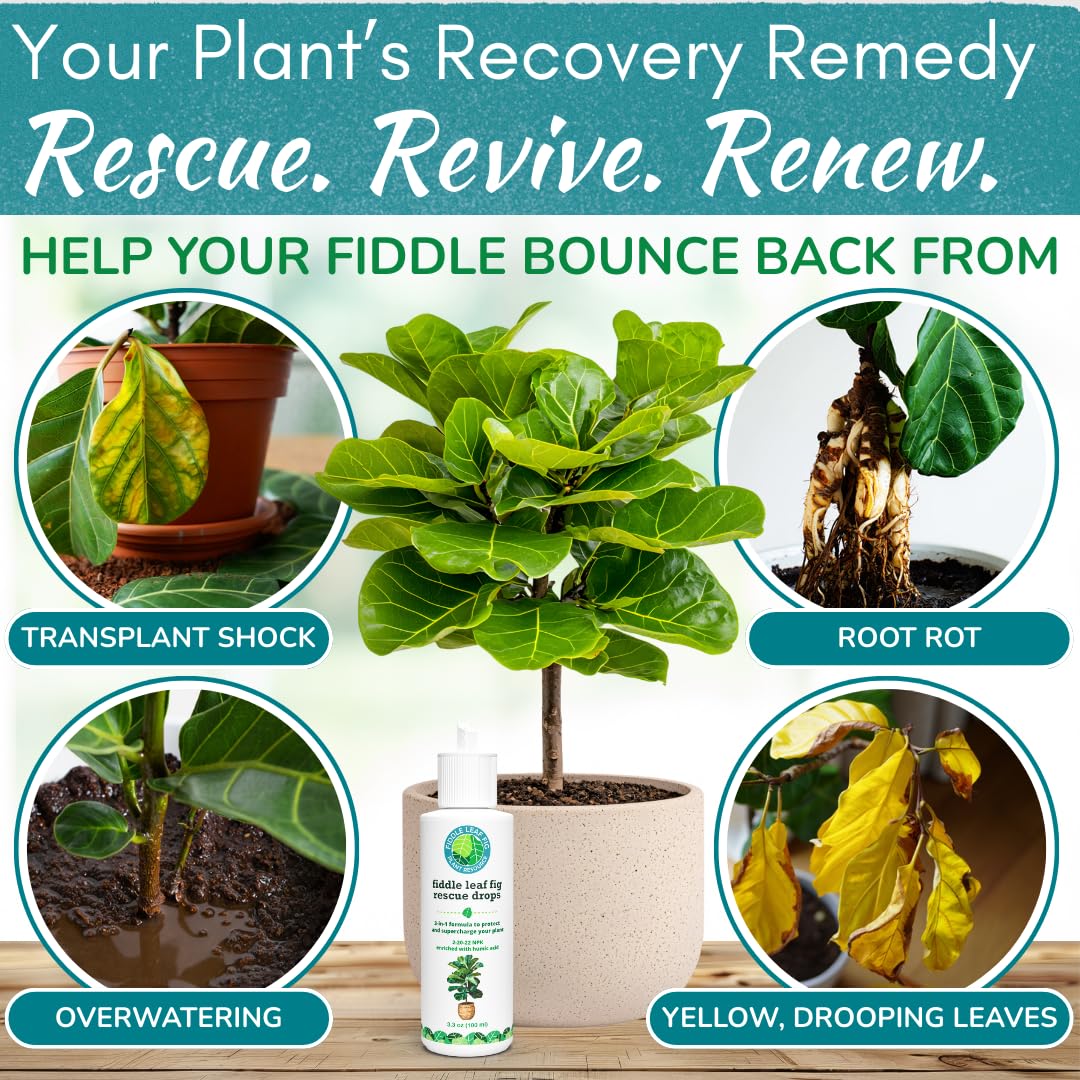 Houseplant Resource Center Rescue Drops dropper applying concentrate to water for roots.