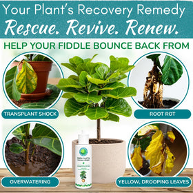 Houseplant Resource Center Rescue Drops dropper applying concentrate to water for roots.