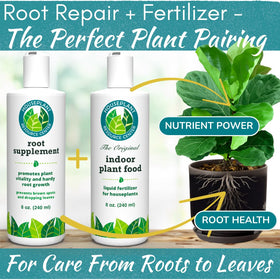 Root Rot Repair manufactured in the USA for trusted care.