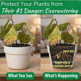 Houseplant Resource Center Smart Gravel highlights air pockets that boost root oxygen for healthier growth
