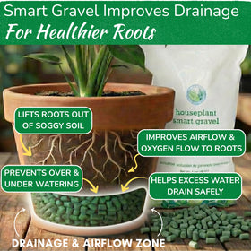 Houseplant Resource Center Smart Gravel supports indoor and outdoor plants including succulents and orchids