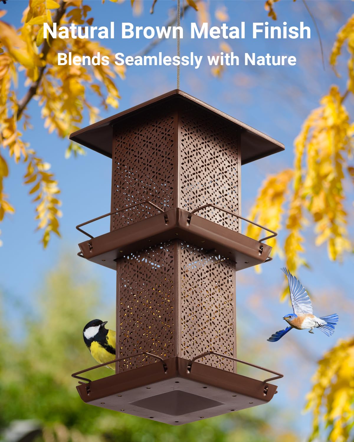 HouseSapp top-lock design reduces seed pilferage and waste.
